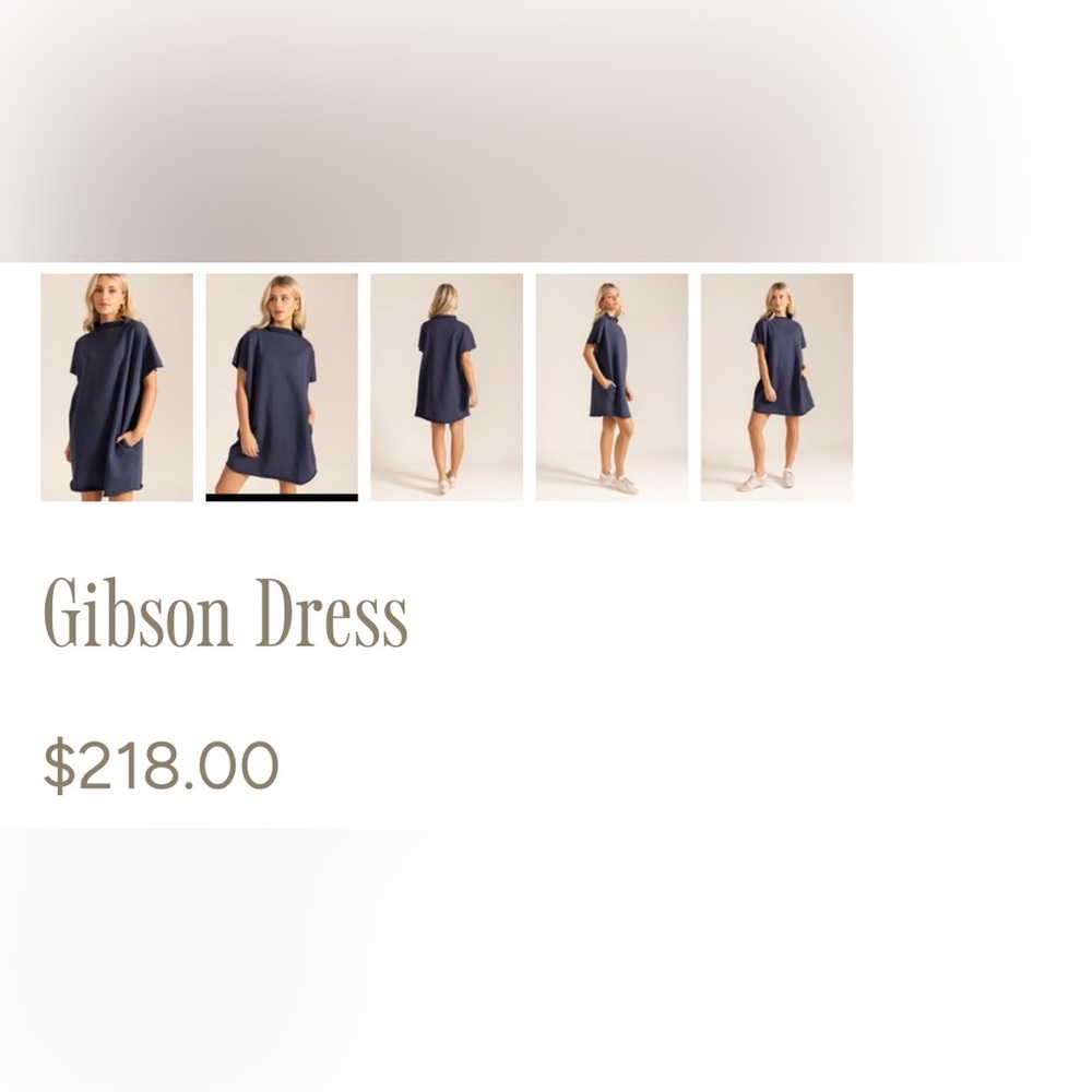 Le Marais Gibson Shirt Dress NWT - Picture 9 of 10